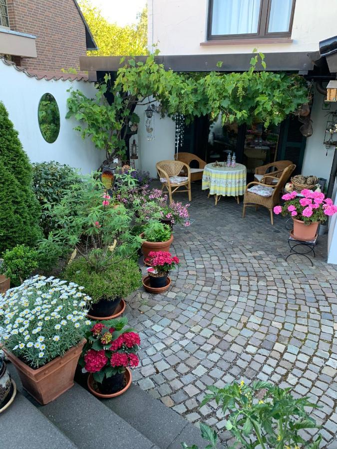 Pension Loew Solingen Bagian luar foto